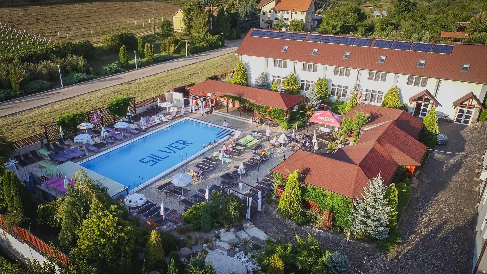 Silver Hotel Oradea Bagian luar foto